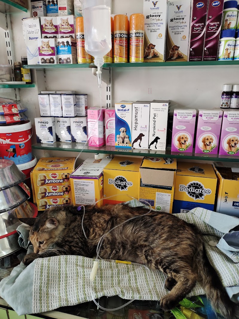 Pet Clinic and Shop — Photo 4