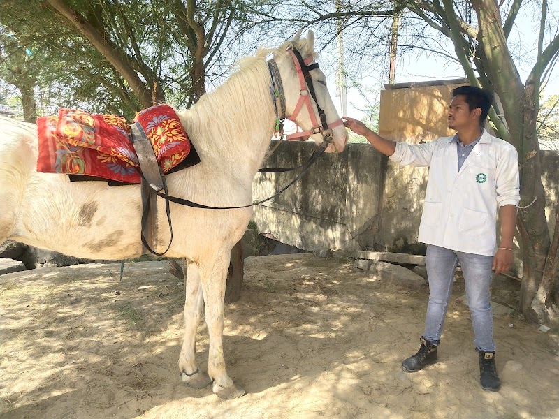 Pet Clinic by Dr.Bhaskar Santoshi