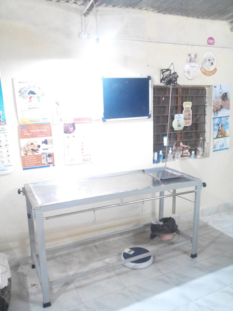 Pet Clinic (Dr Brajesh Gupta) — Photo 4