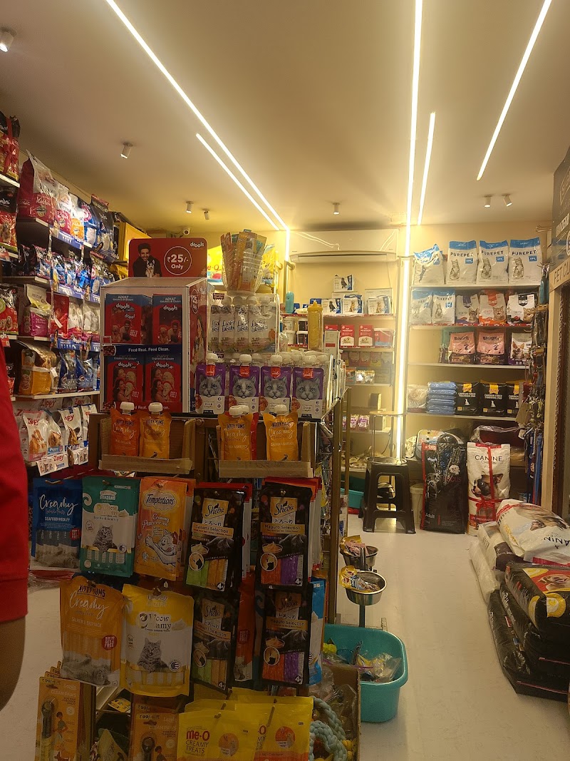 Pet club Raipur — Photo 3