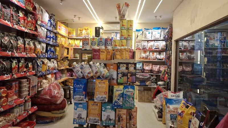 Pet club Raipur — Photo 4