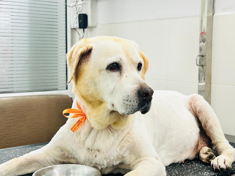 PET+ Complete Veterinary Care & Pet Dermatology Centre — Photo 3