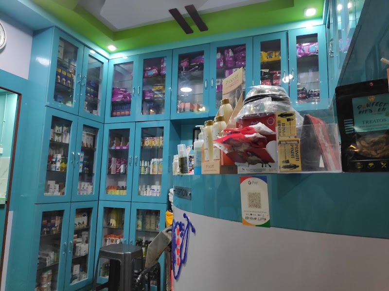 Pet cure and care surgical centre — Photo 2