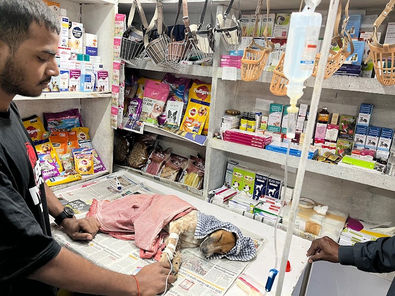 Pet Cure Veterinary Clinic — Photo 3