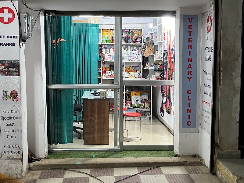 Pet Cure Veterinary Clinic — Photo 4