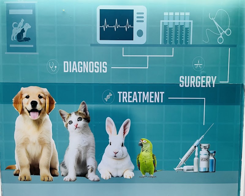 PET DOCTORS Clinic — Photo 4