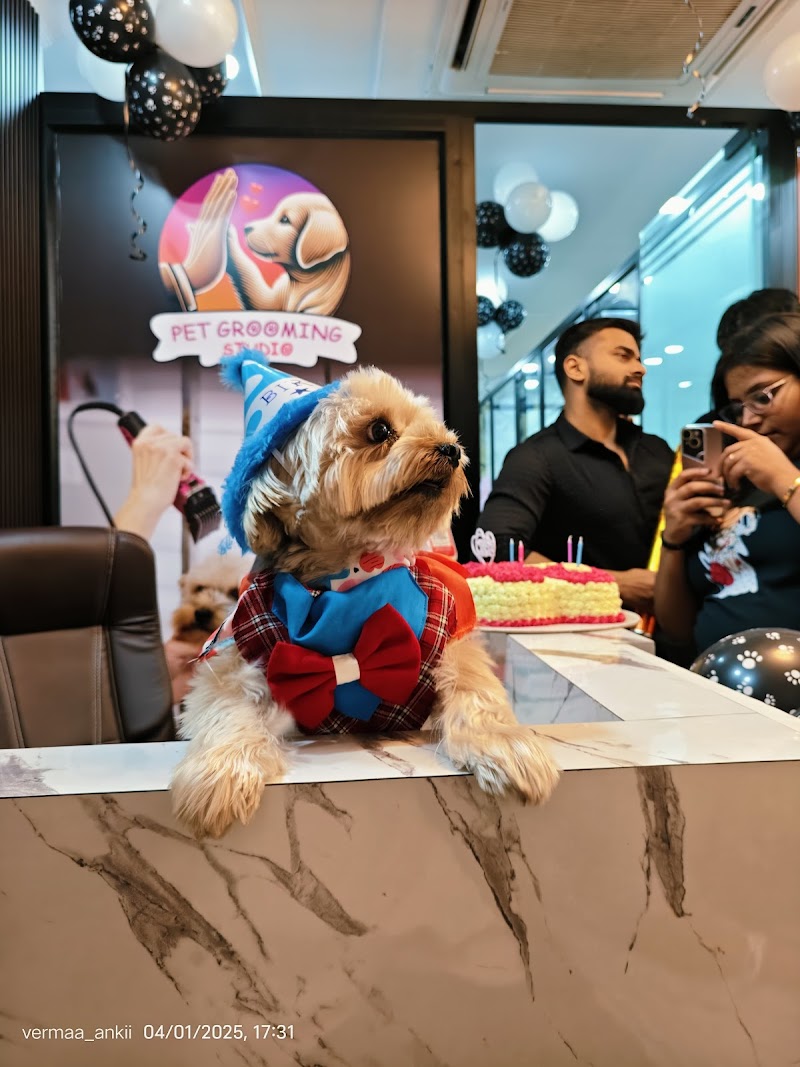 Pet Grooming Studio-Pet Spa, Dog & Cat Grooming Service — Photo 2