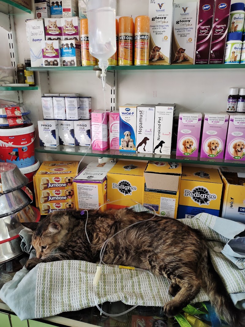 Pet Health Clinic and Shop — Photo 3