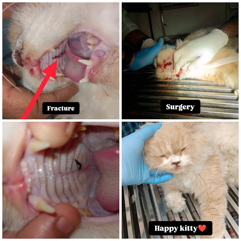 Pet Health Clinic and Shop — Photo 4