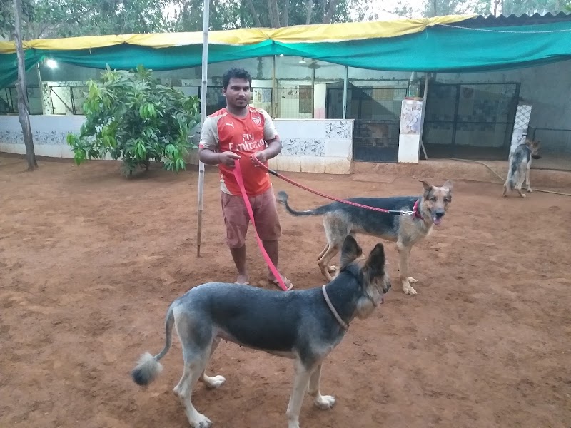 PET HOME - Dog lodging & boarding — Photo 3