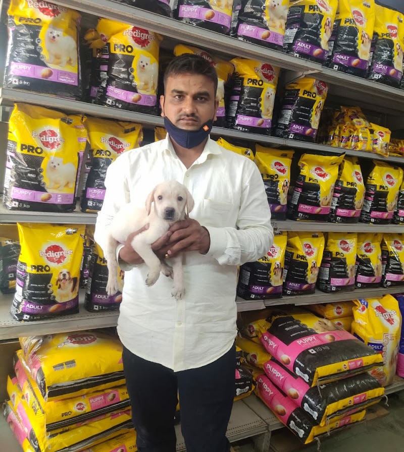 Pet House — Photo 2