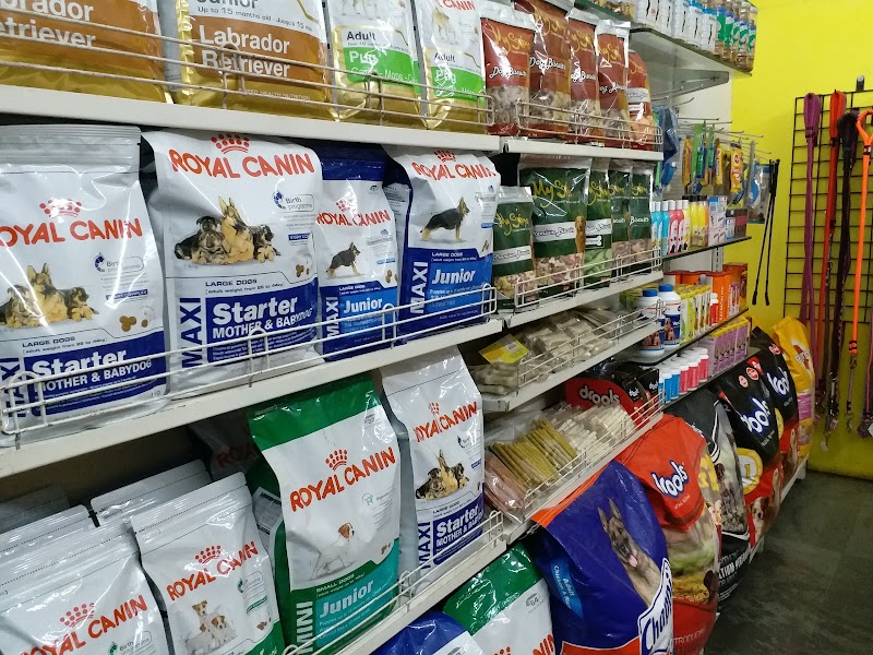 Pet House — Photo 4