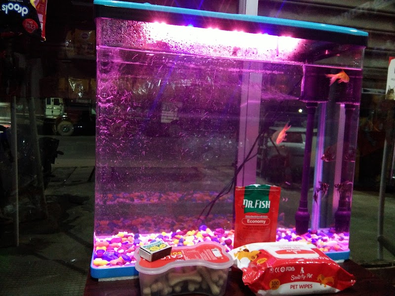 Pet House - The Veterinary Clinic