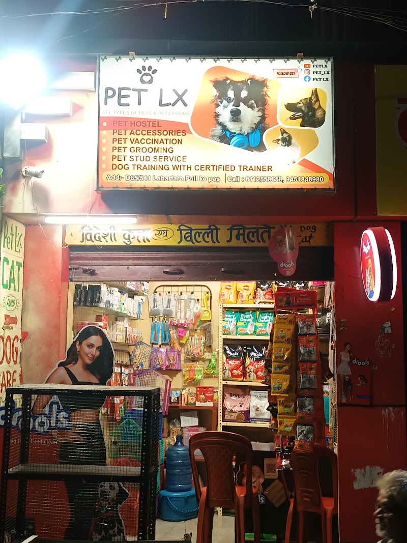 Pet LX - Varanasi Nom.1 pets shop / Best pets Shop in Varanasi / Pets dealer / dog breeder/ Sigra Nom 1 pets shop