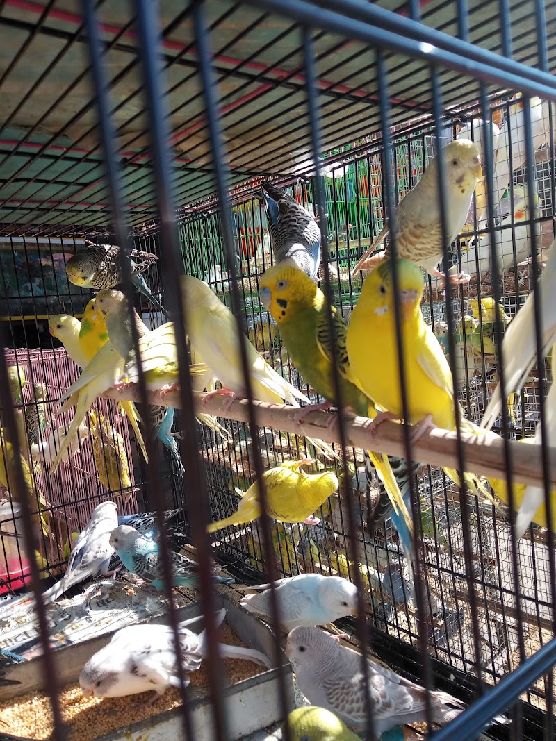 Pet Market — Photo 2