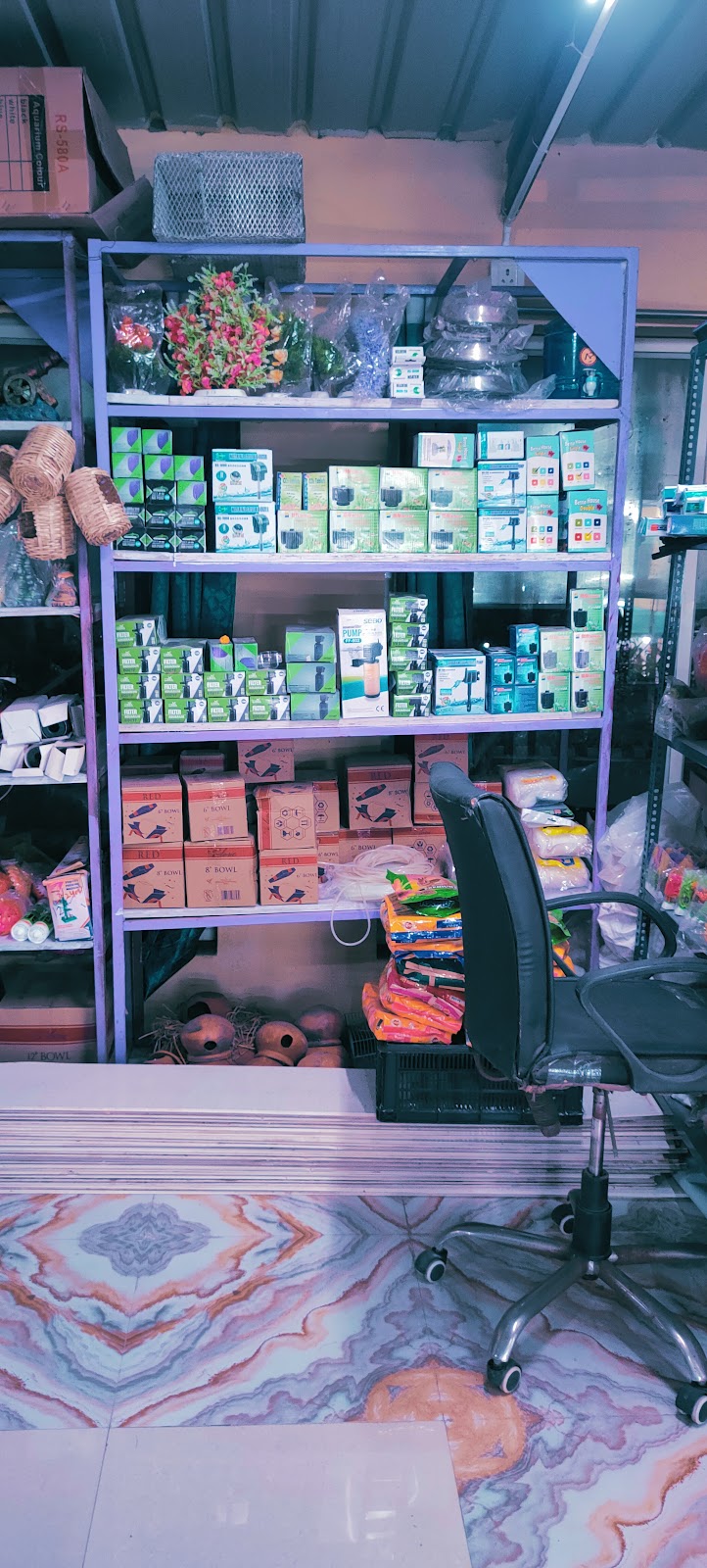 Pet of Odisha — Photo 2