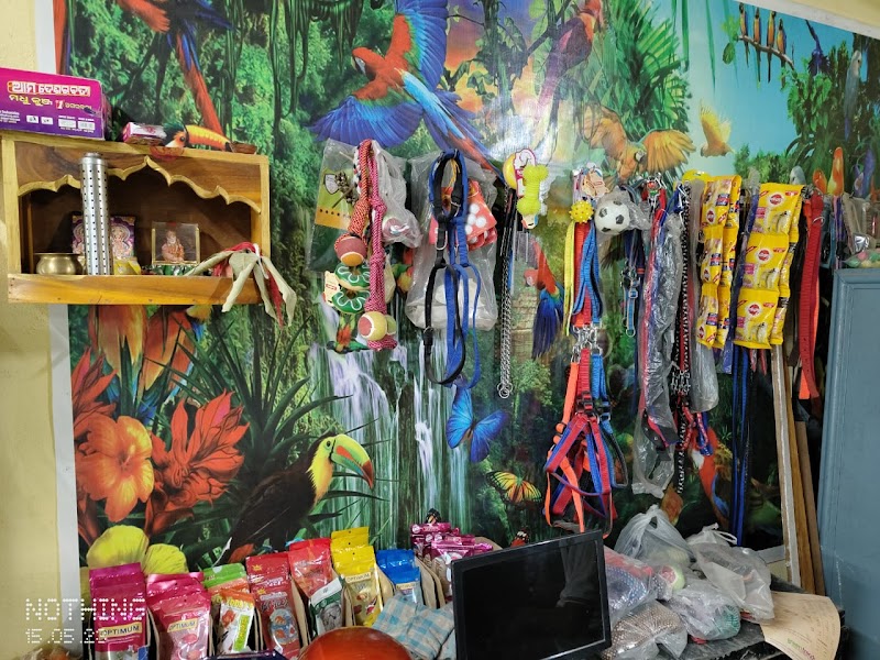 Pet of Odisha — Photo 4