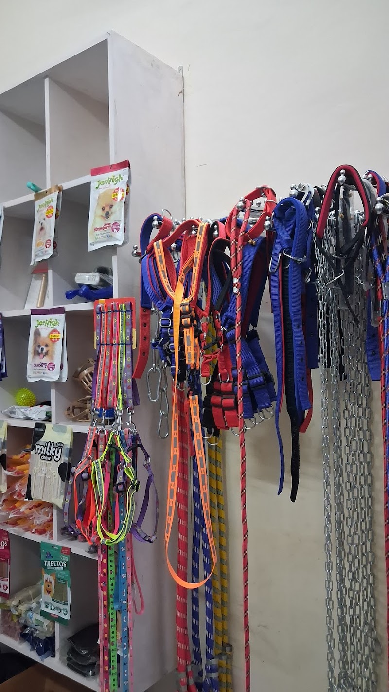 Pet Paradise Amritsar — Photo 3