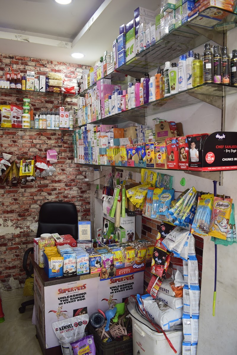 Pet Paradise — Photo 2