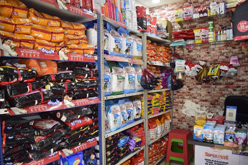 Pet Paradise — Photo 3