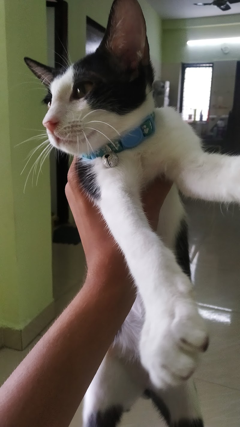 Pet parivaar — Photo 2