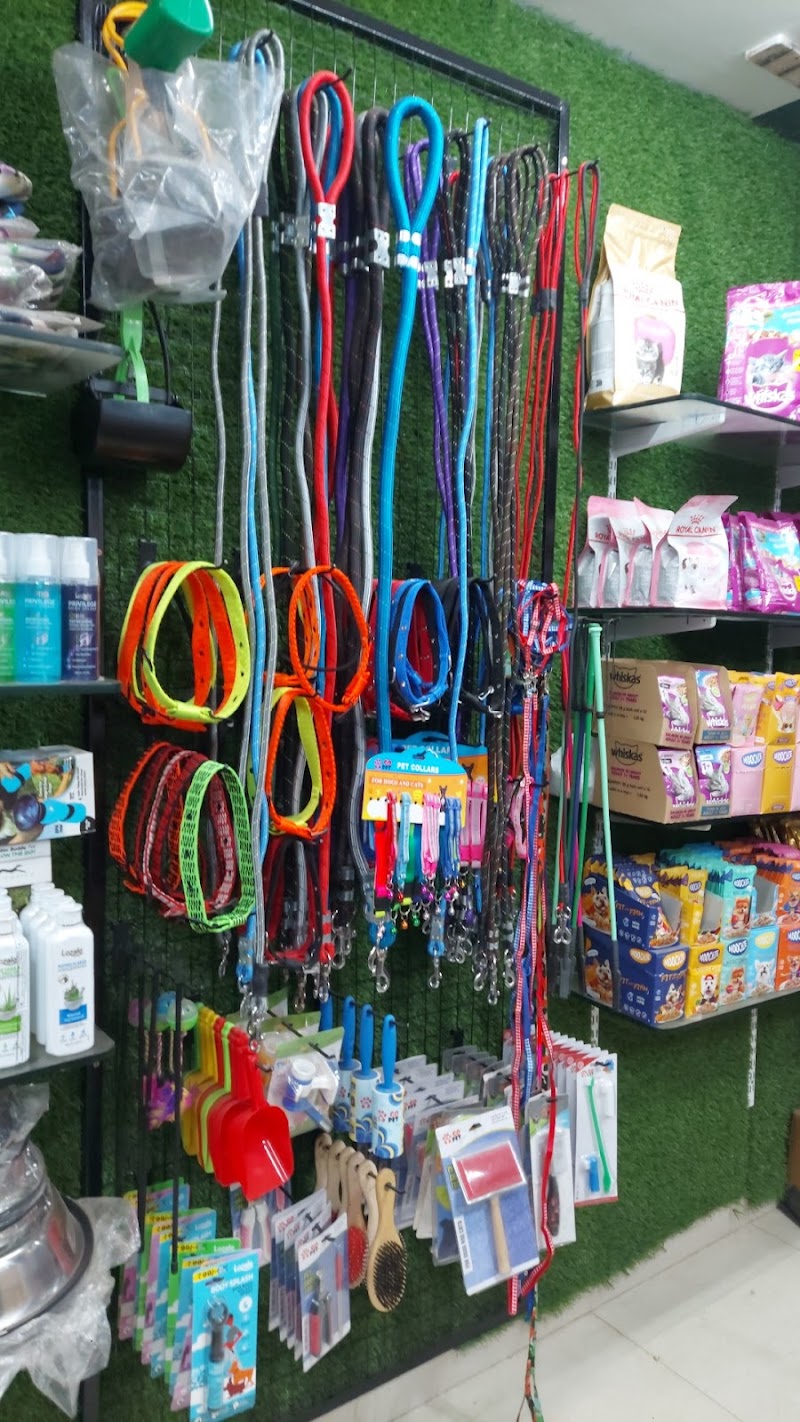 Pet Perfect Pet Grooming & Spa - Best Pet Grooming Centre in Raipur | Pet Food & Accessories Shop