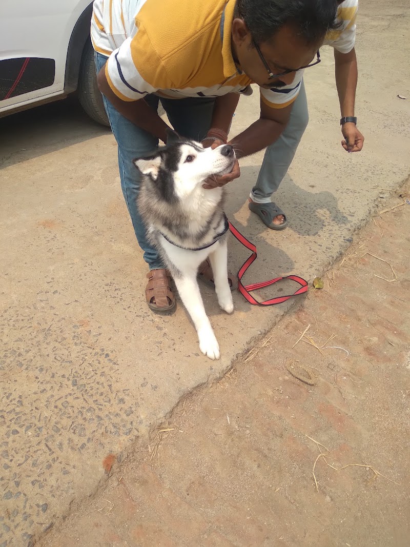 Pet Planet — Photo 3