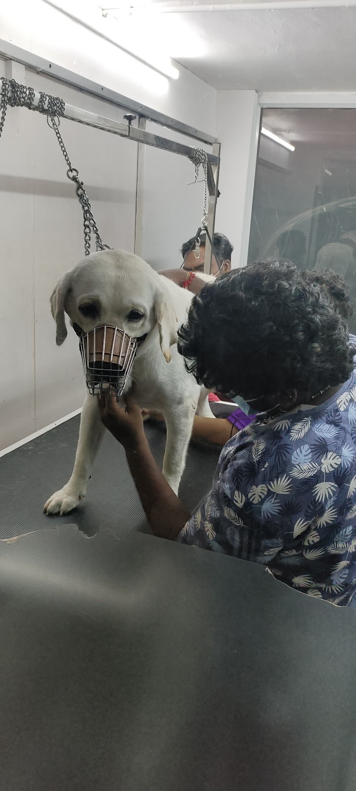 Pet Pluz Veterinary Hospital & Pet Store - Madurai — Photo 2