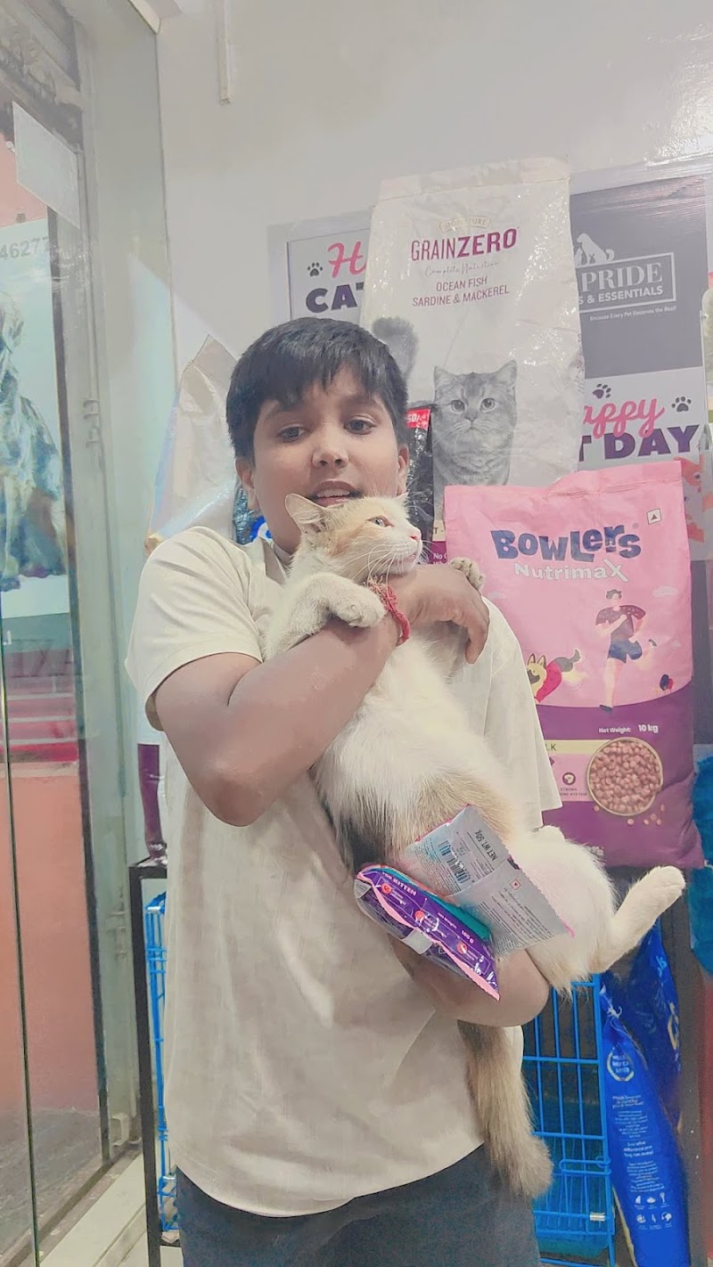 PET PRIDE Hosur, Hubballi | Best Pet Shop in Hubli — Photo 3