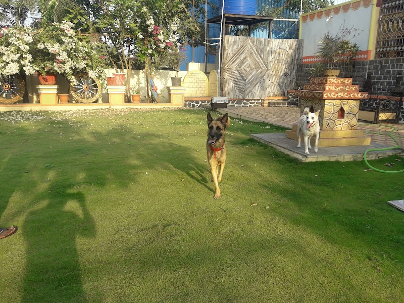 PET SOCIAL- Pet Boarding