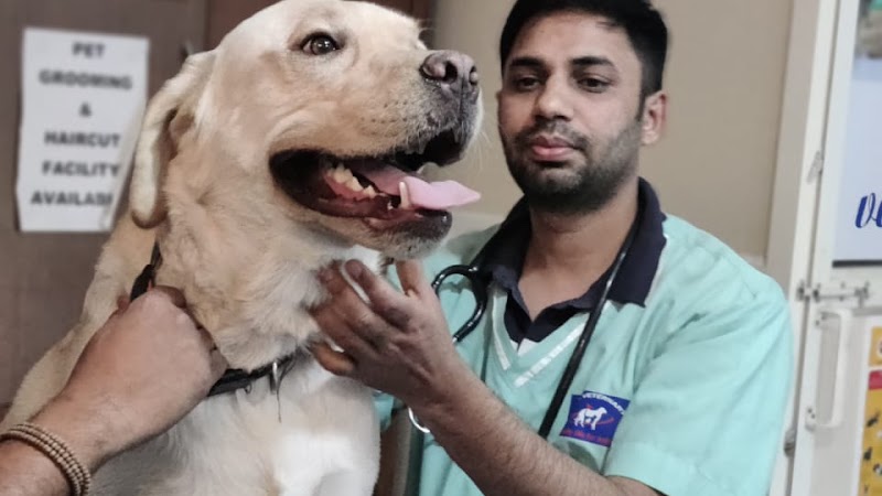 Pet Tales Veterinary Clinic (#1 Best Pet (Dog/Cat) Clinic in Sector 71 Noida)