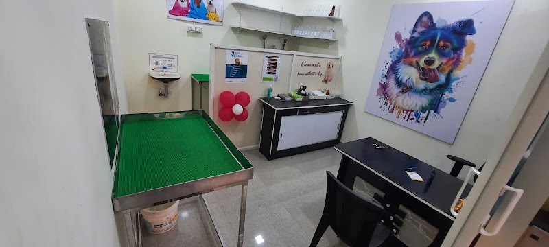 Pet vet veterinary clinic — Photo 4