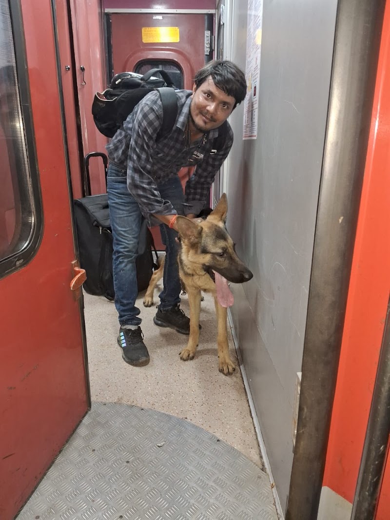 Petcabbies — Photo 4