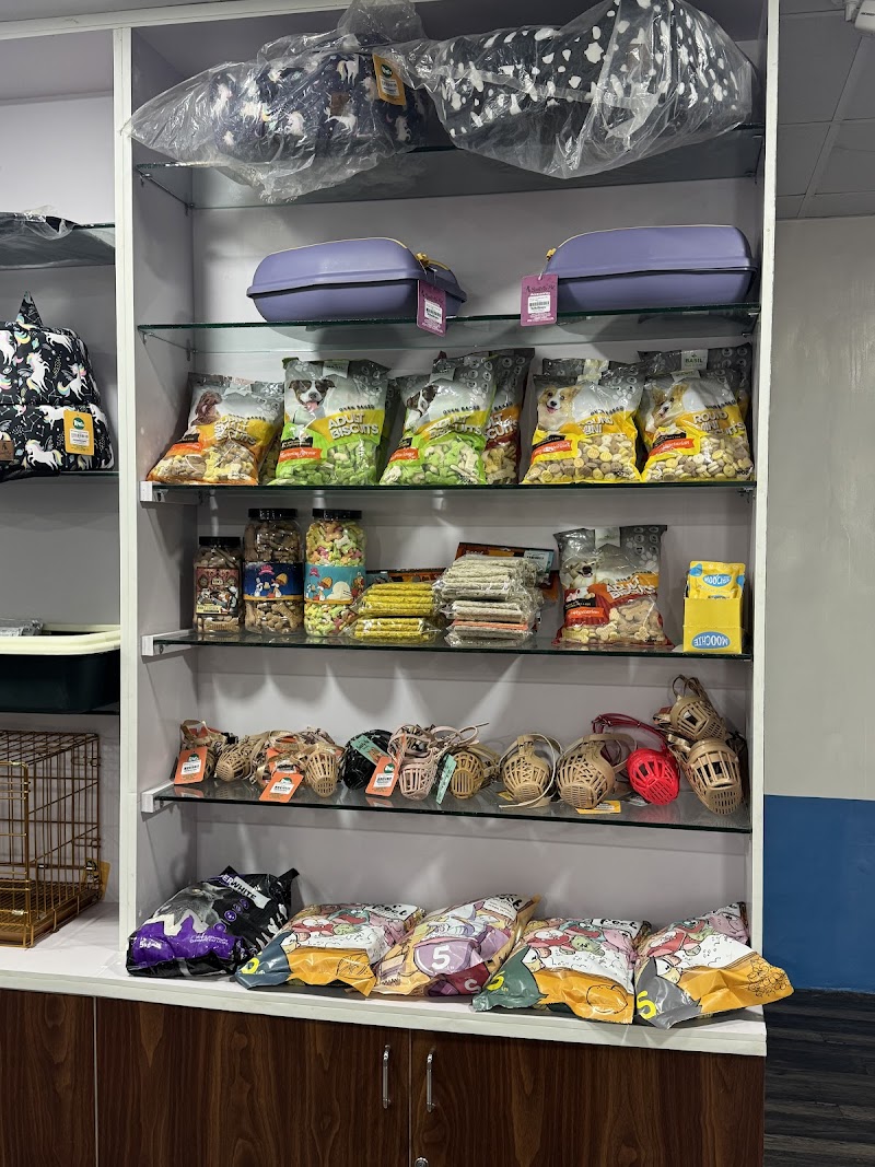 Petcure Pet Hospital