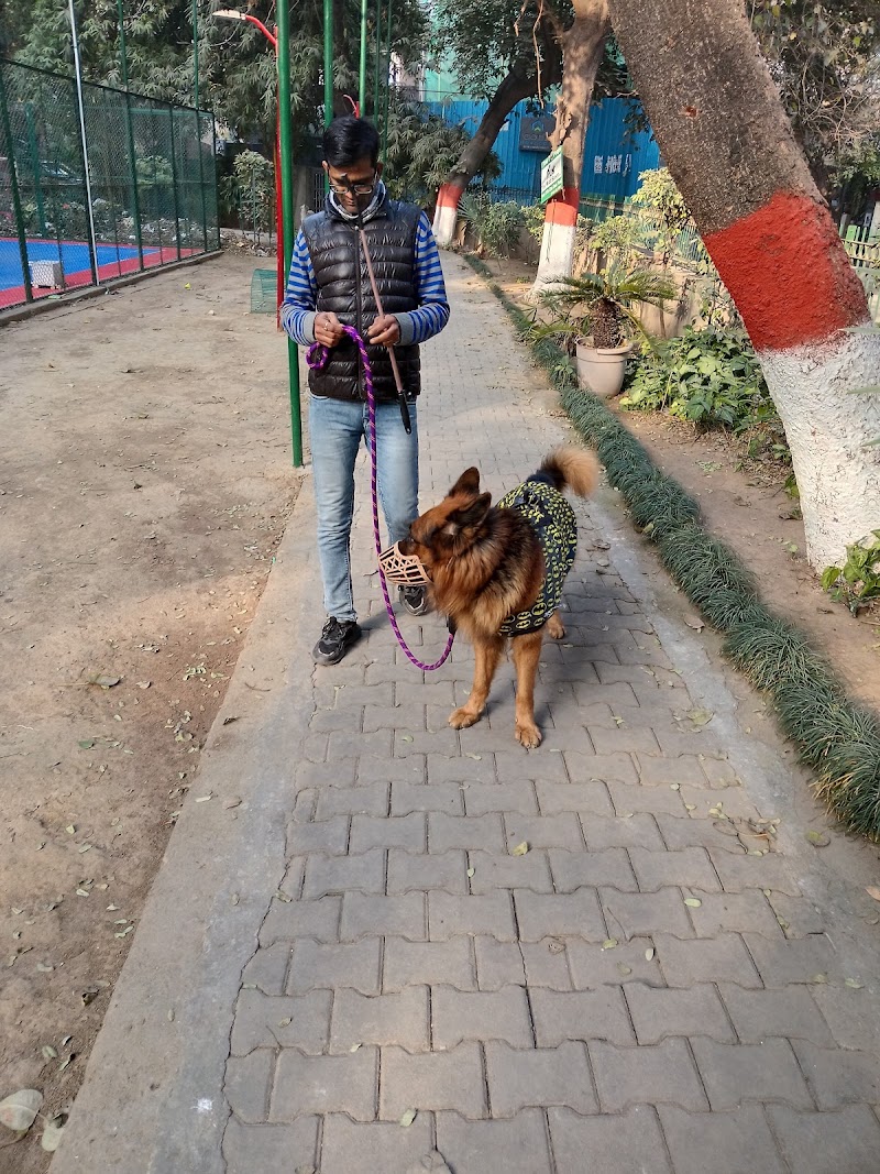 Petdogz T Dog walkers and Gromer, Bording, Trainer