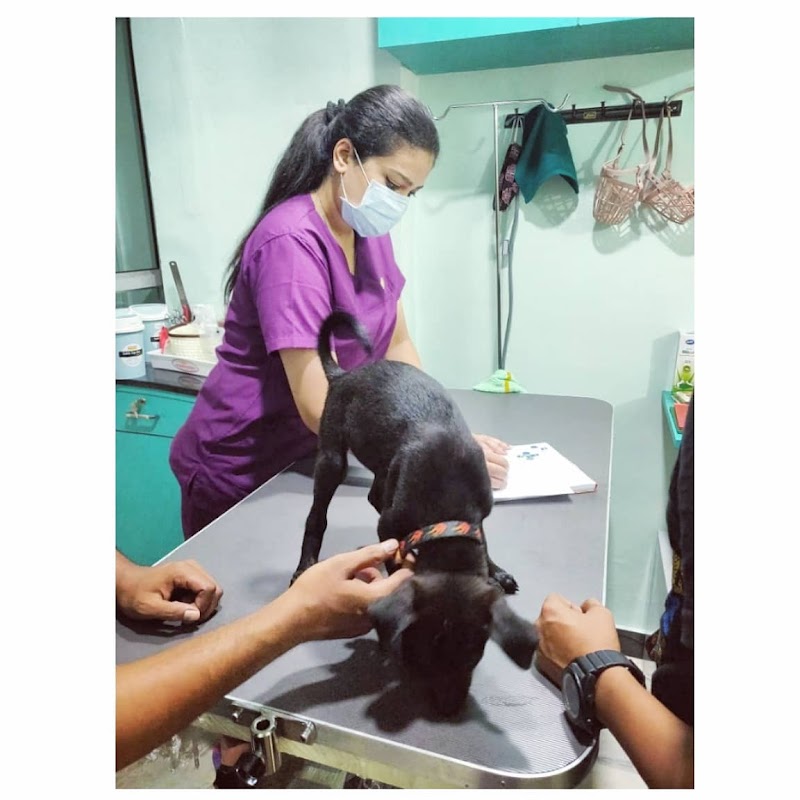 PETRIX - Dr Gautami's Small Animal Clinic