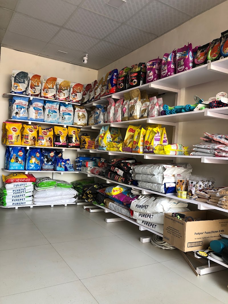 Pets And Pups — Photo 2