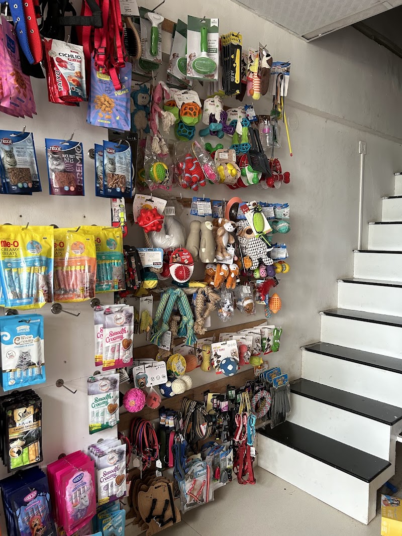 Pets And Pups — Photo 4