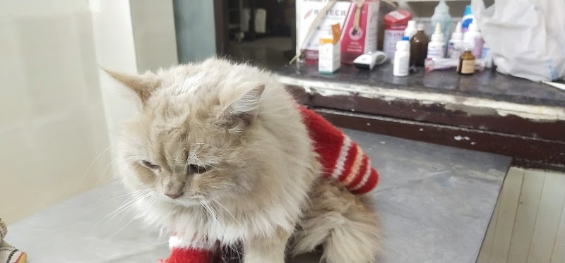 Pets and Vets Pet Hospital — Photo 1