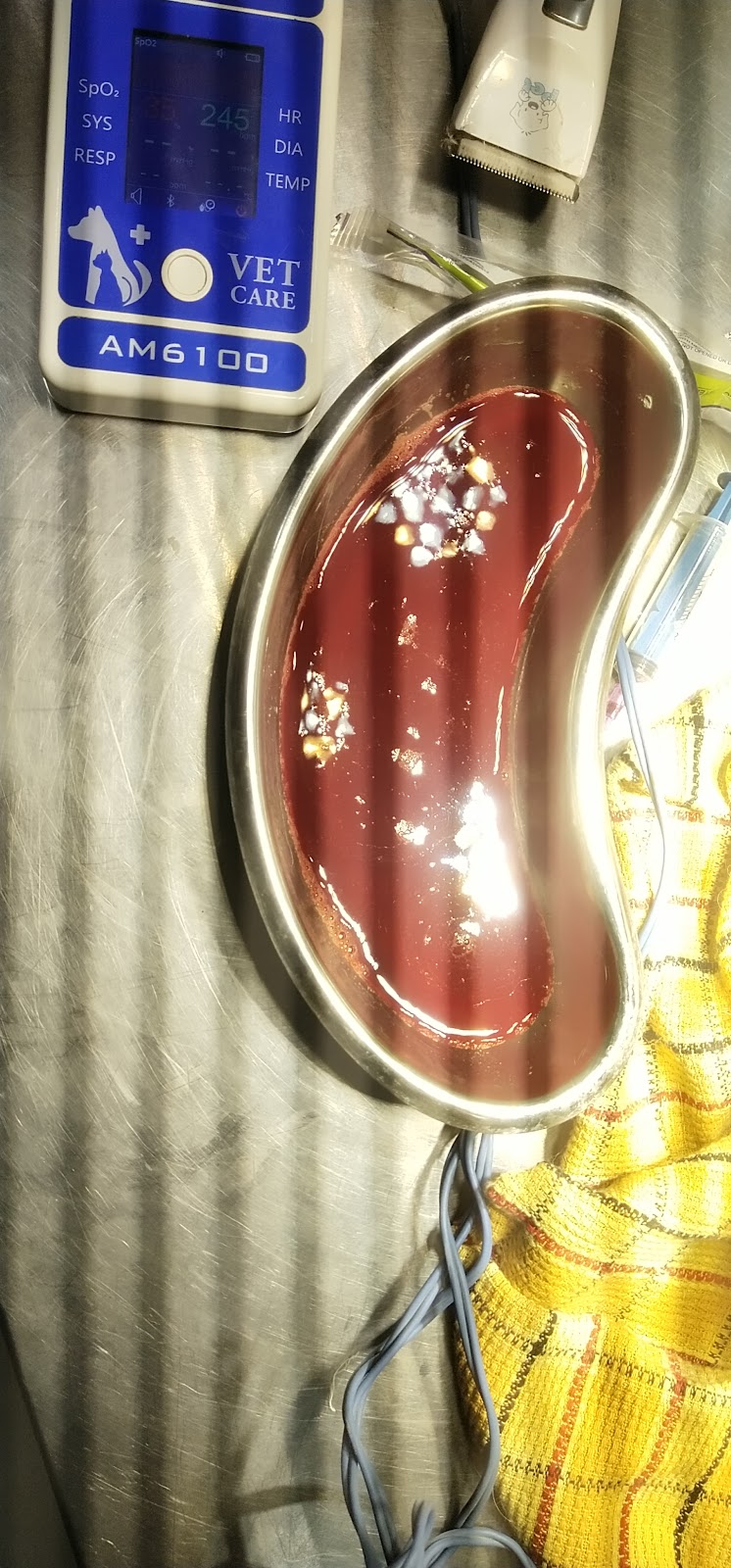 Pets and Vets Pet Hospital — Photo 2