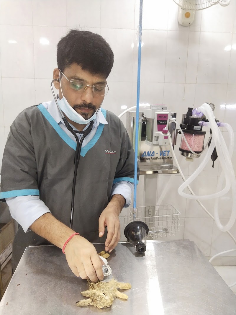 Pets and Vets Pet Hospital — Photo 3