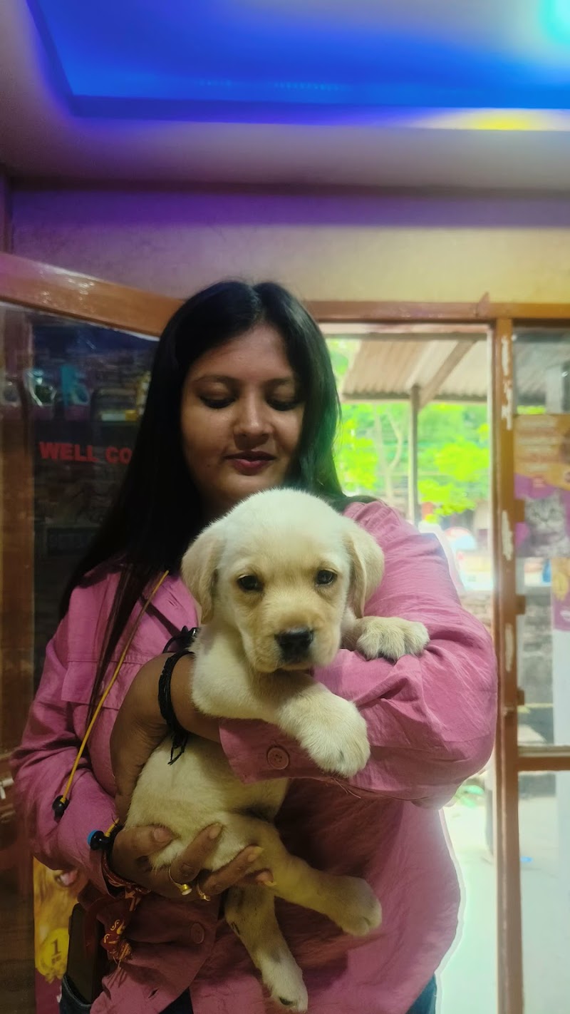 PETS CANINES — Photo 2