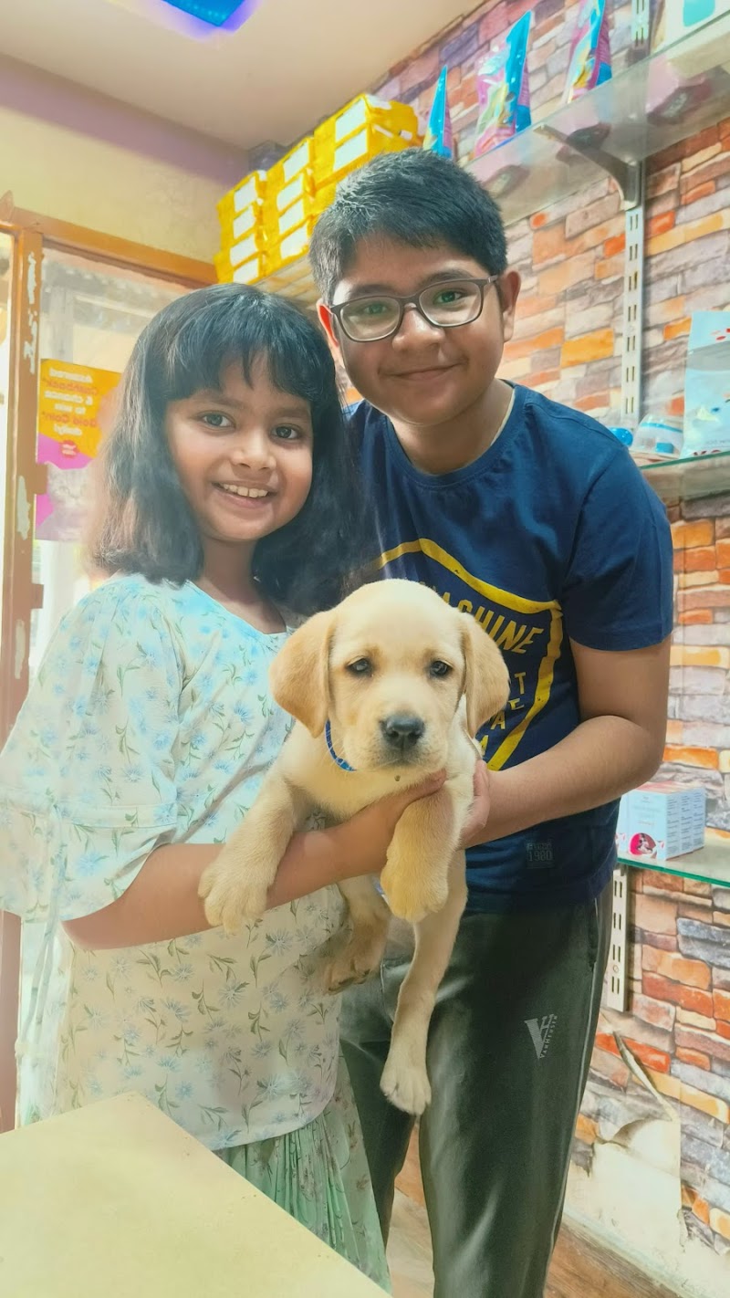 PETS CANINES — Photo 4