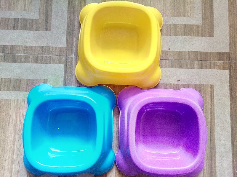 Pets Friend — Photo 4