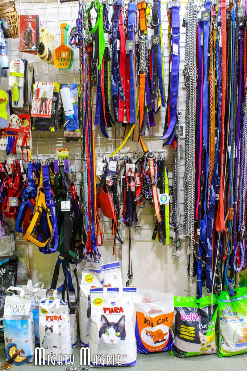 Pets Galaxy — Photo 3