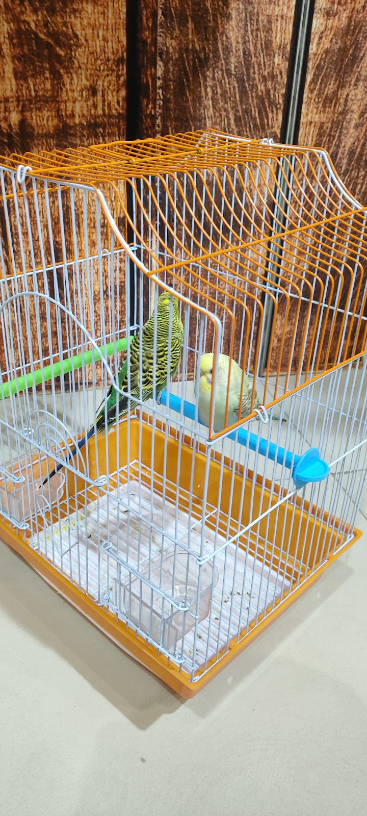 Pets Galaxy — Photo 4