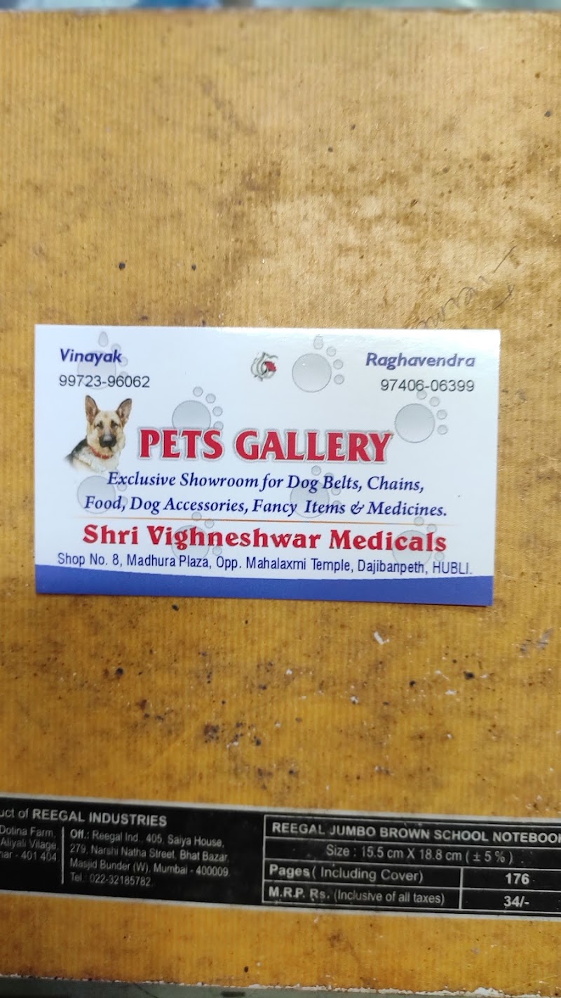 Pets Gallery