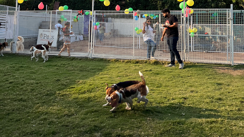 Pets Hangover Pet Resort and Dog Park