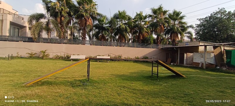 Pet's inn dog consultation — Photo 3