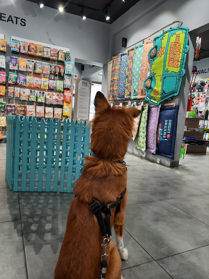 Pet's Island-pet store and spa — Photo 3
